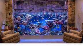 Massive Custom Home Aquarium - 3000g Saltwater - Large Fish Tank Build