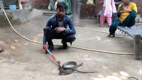 Red snake rescue sarpmitra mohd ajeem #snake #animal #snakelover