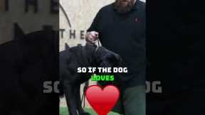 This Dog Training Tip Will Change Your Dog Forever