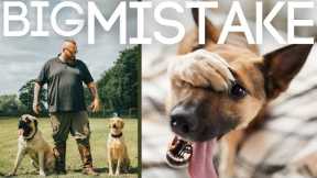 The Biggest Mistake Dog Owners Make