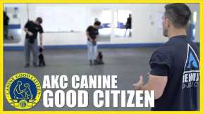 Training and Preparing Your Dog for The AKC Canine Good Citizen Test.
