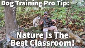 Dog Training Pro Tip | Nature Is The Best Classroom