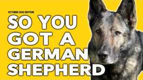 So You Got a German Shepherd - Tips and Dog Training Advice for Owners of German Shepherd Dogs