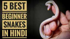 5 Best Beginner Snakes In Hindi. | Pet Snakes Prices In India.