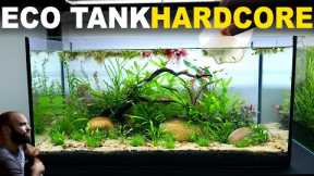 The Ecosystem Tank: HARDCORE MODE (Walstad Method, No Filter, Low Tech, Dirt, Aquascape Tutorial)