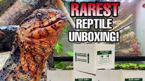 Unboxing RAREST Lizards in the World! (Shinisaurus crocodilurus)