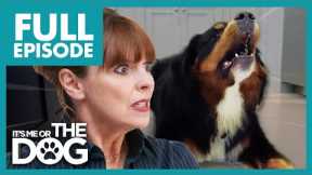 Uncontrollable Dogs Bark For Up To 40 Minutes | Full Episode | It's Me or the Dog