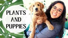 HOW TO STOP YOUR DOG FROM EATING YOUR PLANTS | TIPS and TRICKS | NEW PUPPY !!!