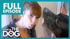 Nervous Dog Licks And Bites The Walls | Full Episode | It's Me or the Dog