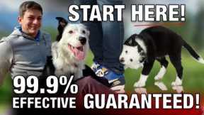 All Good Dog Trainers Know This Will Solve 99% of Problems Training Your Dog (It’s NOT EXERCISE!)