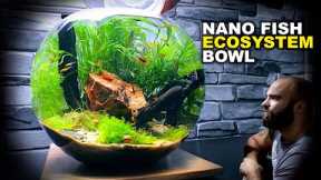 Nano Fish Ecosystem Bowl: AMAZING NO WATER CHANGE & No Filter Aquarium (Aquascape Tutorial)