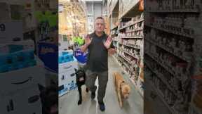 How Teaching Your Dog a Down Stay Can Help While Shopping