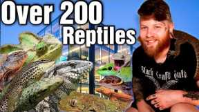 I Filled An Entire Building With Reptiles! Reptile Room Tour