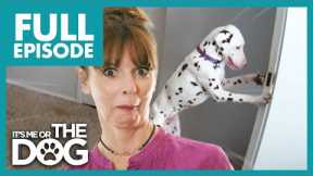 Deaf Dalmatian Opens Every Door and Tries To Escape | Full Episode | It's Me or the Dog