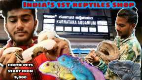 India's 1'st reptiles shop || iguana,ball python,and monitor lizard | karnataka aquarium || kannada