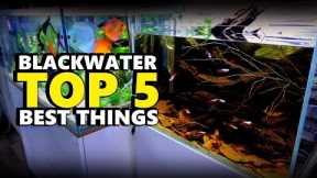 Blackwater Aquarium!! Top 5 Things | MD Fish Tanks