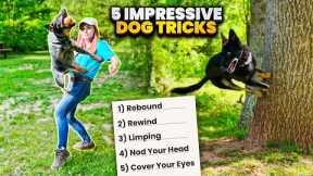 Five More Awesome Dog Tricks to Impress Your Friends!
