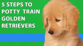 How To Potty Train Your Golden Retriever Puppy (5 Easy Steps)