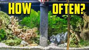 The Water Change Guide For EVERYONE (#1 Key to a Healthy Aquarium)