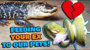 Feeding your Exes to our Reptiles for Valentine's Day!