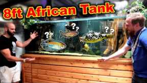 My BIGGEST Tank EVER!! (8ft African Aquarium Build Planning)
