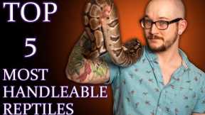 Top 5 MOST HANDLEABLE Reptiles