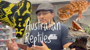 5 Great Pet Reptiles From Australia!