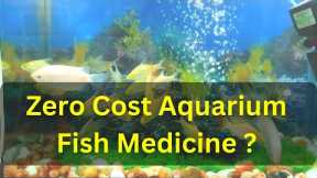 Zero Cost Aquarium Fish Medicine - The Simple, Effective Method You've been Waiting For !