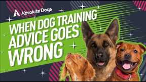 When DOG training ADVICE goes WRONG!
