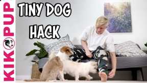 Tiny Dog Training Hack - for dog tricks