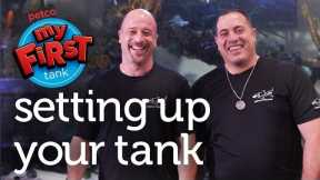 Petco and Animal Planet's Tanked Present: My First Tank - Setting Up Your Tank