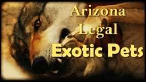 Which Exotic Pets are Legal (and Illegal) in Arizona?