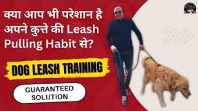 How to control your Dog pulling on Leash | Easy Dog Training in Hindi | Door Manners | Sit and Walk