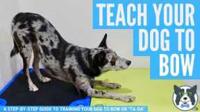 Take a Bow: Teach Your Dog to Bow