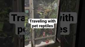 Traveling with exotic pets