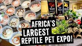 REPTILE PET EXPO: LARGEST IN AFRICA 2022!