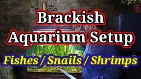 Brackish Water Aquarium / Brackish Water Fish, Snails & Plants - Setup, Culture, Aquaculture #fish