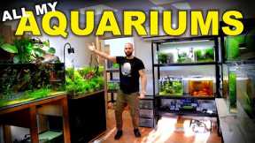 HUGE Fish Room Tour!! 49 Aquariums 2x Studios & Feeding (must see!!) | MD Fish Tanks