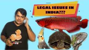 REGISTRATION FOR EXOTIC PETS IN INDIA ??? FISHES, BIRDS, REPTILES, Etc
