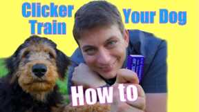 How to CLICKER TRAIN Your Dog: The FASTEST WAY to Teach your Dog to be AWESOME!