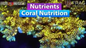 Nutrients - Coral Nutrition in a Saltwater Aquarium with Coral Euphira and Frag Garage