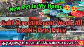 Galif Street pet Market all exotic pets price🦜🐹🐕🐬|| New Pet In My Home 😍❤️