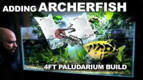 ADDING ARCHERFISH to the 4ft Paludarium Build!!
