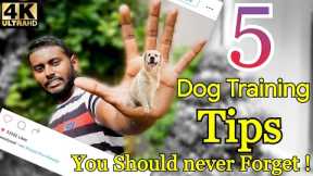 5 Dog Training Tips & Secrets in 5 Minutes (Hindi) 4K || Smart Dog Training