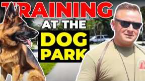 REACTIVE German Shepherd visits DOG PARK!