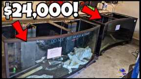 MONSTER Aquarium! Buying $24,000 Worth of BIG Fish Tanks!