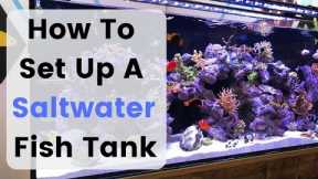 How To Set Up (Build) A Saltwater Fish Tank / Aquarium