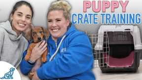 Puppy Crate Training Doesn't Need To Be STRESSFUL!