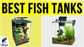 10 Best Fish Tanks 2020