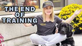 Guide Dog Training on Escalators, Food Refusal, & More!